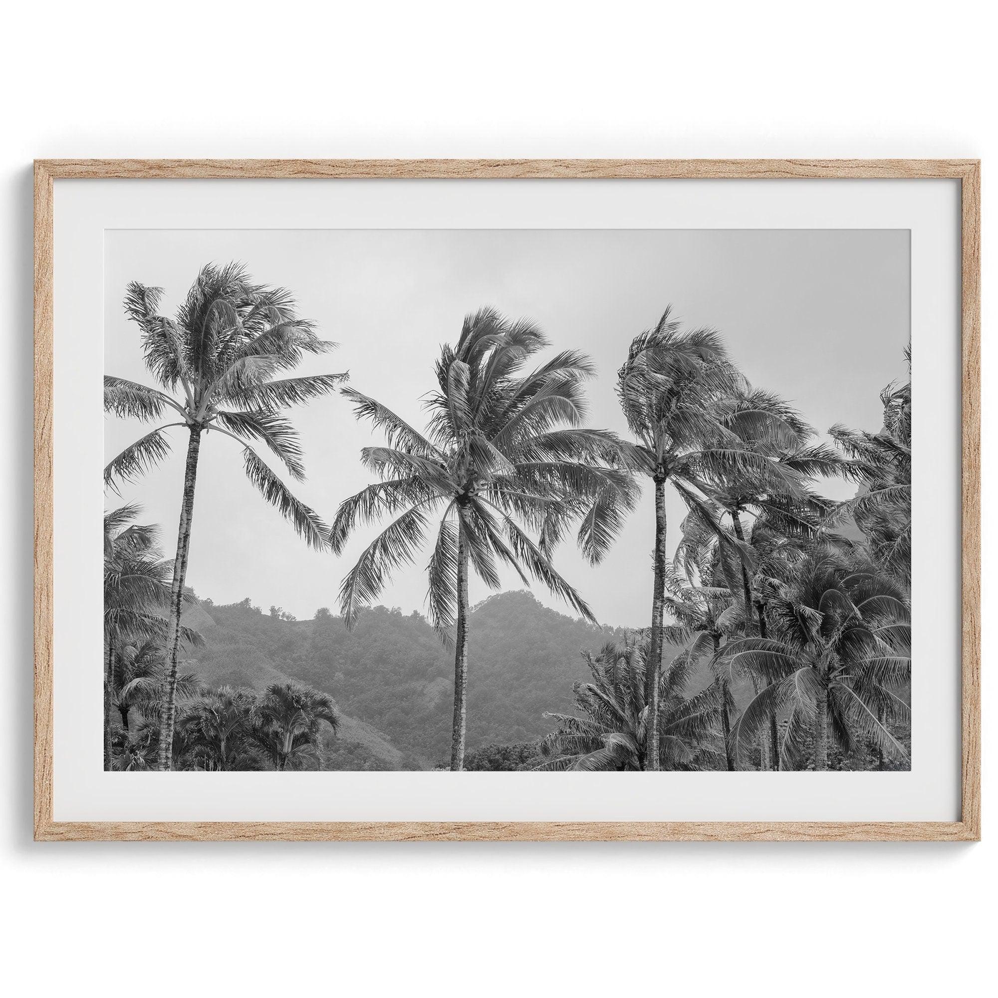 Black and white fine art photography print of towering palm trees silhouetted against tropical mountains. The scene captures the dramatic beauty of Tunnels Beach, Kauai, Hawaii.