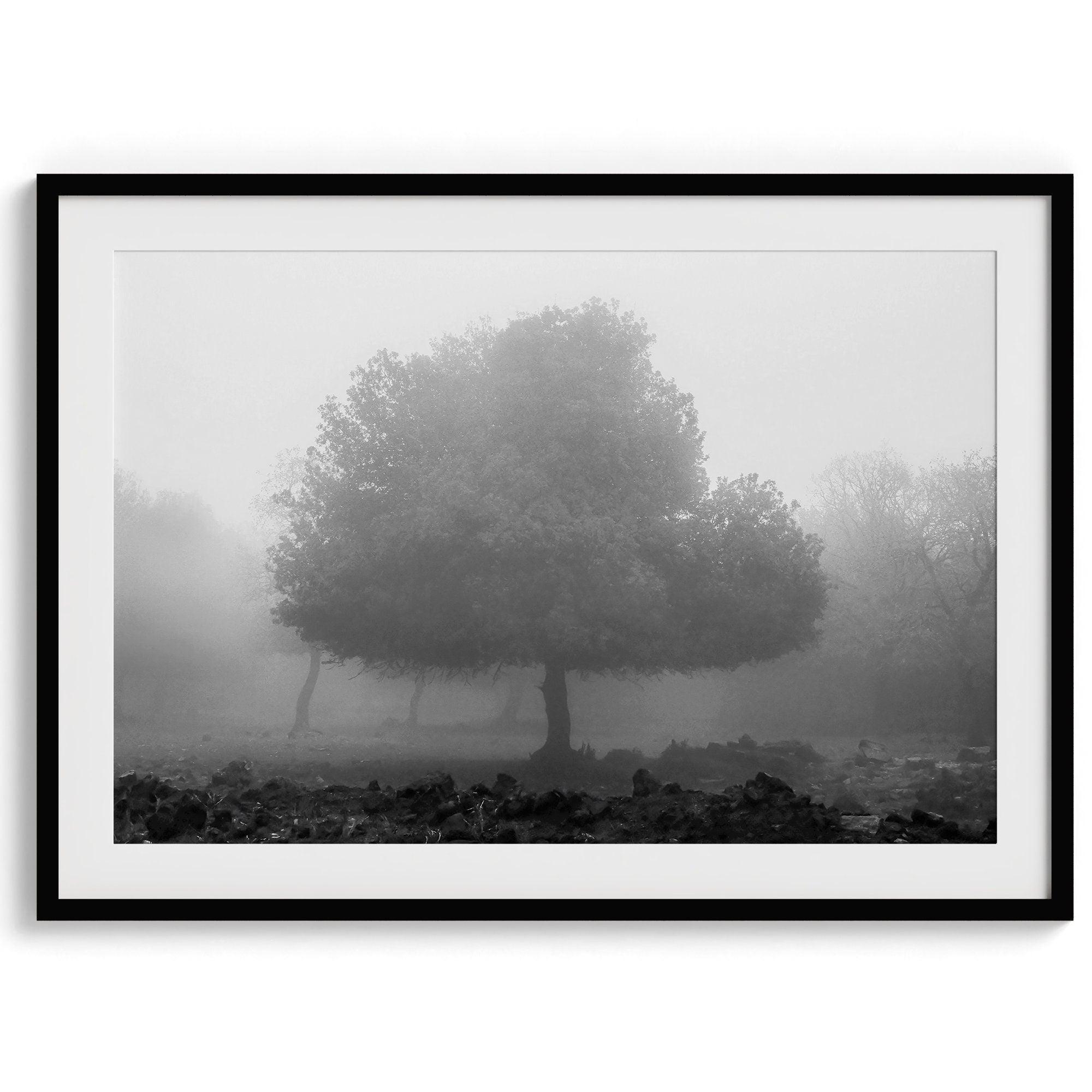 Black and white minimalist fine art photography print of a single tree shrouded in mist. This moody landscape captures the serenity and mystery of a foggy forest, creating a calming and peaceful atmosphere