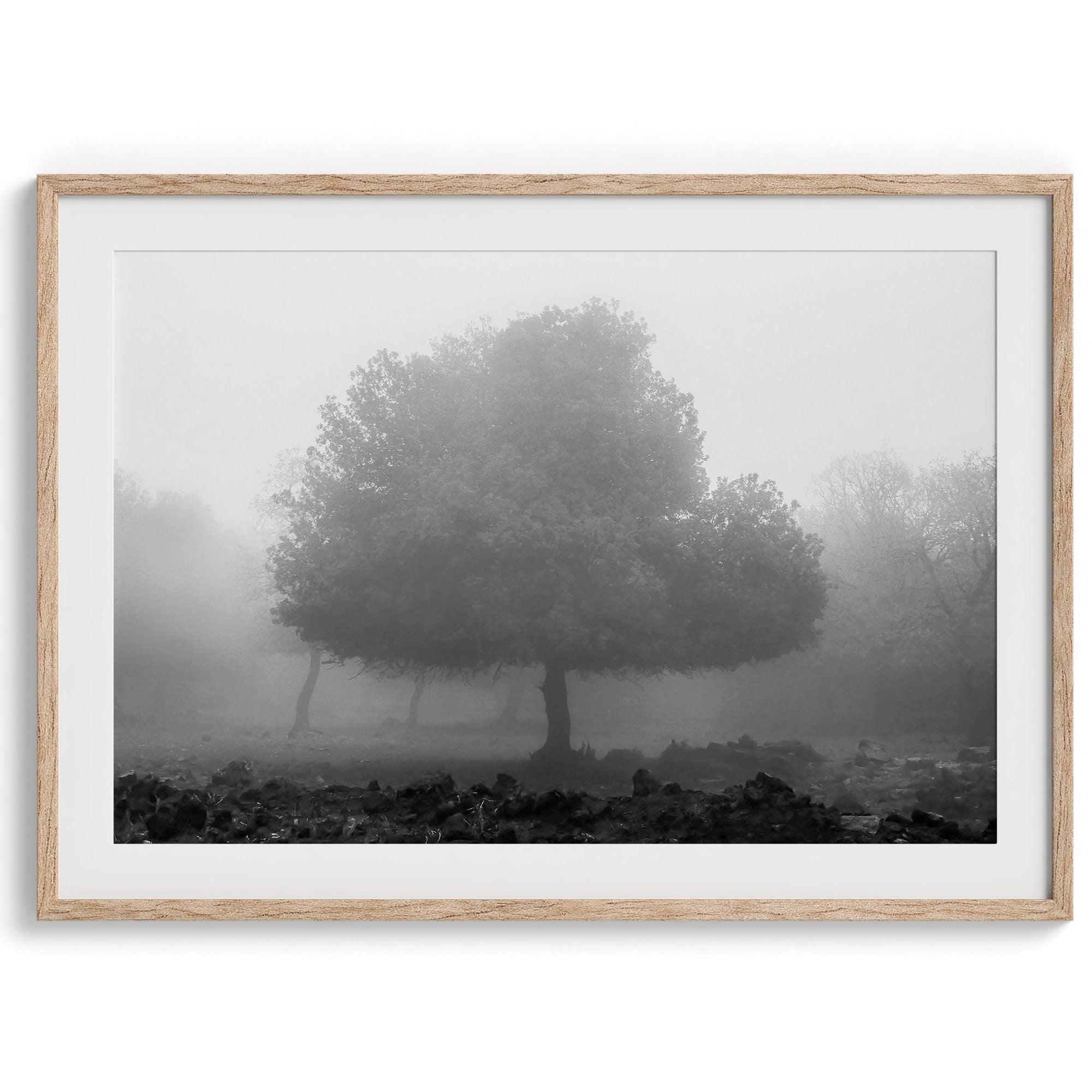 Black and white minimalist fine art photography print of a single tree shrouded in mist. This moody landscape captures the serenity and mystery of a foggy forest, creating a calming and peaceful atmosphere