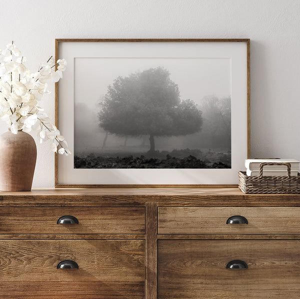 Black and white minimalist fine art photography print of a single tree shrouded in mist. This moody landscape captures the serenity and mystery of a foggy forest, creating a calming and peaceful atmosphere