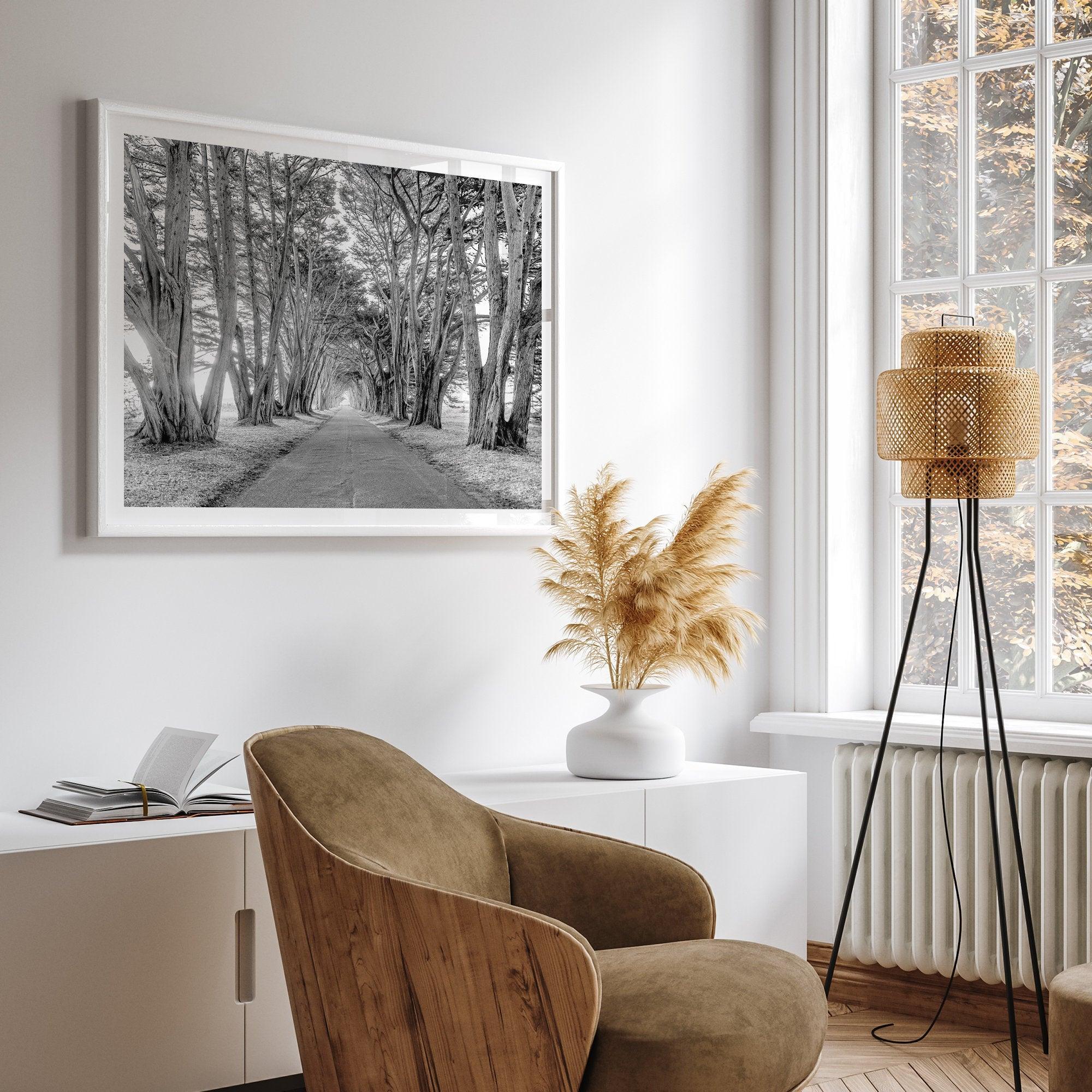 A fine art unframed or framed black and white coastal print of a breathtaking cypress tree tunnel in Point Reyes, California, near San Francisco.