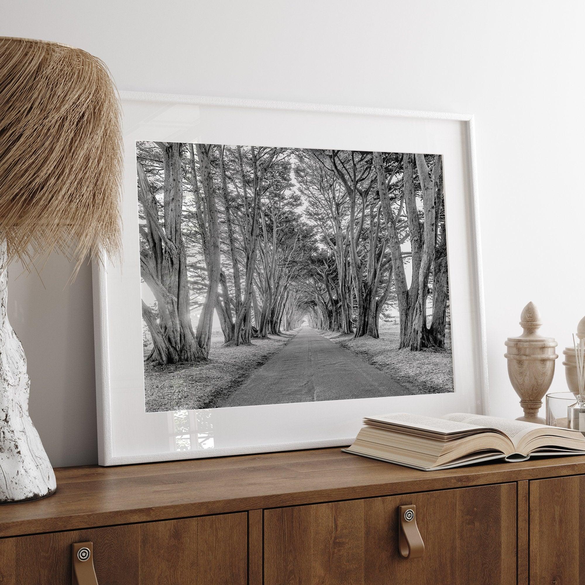 A fine art unframed or framed black and white coastal print of a breathtaking cypress tree tunnel in Point Reyes, California, near San Francisco.