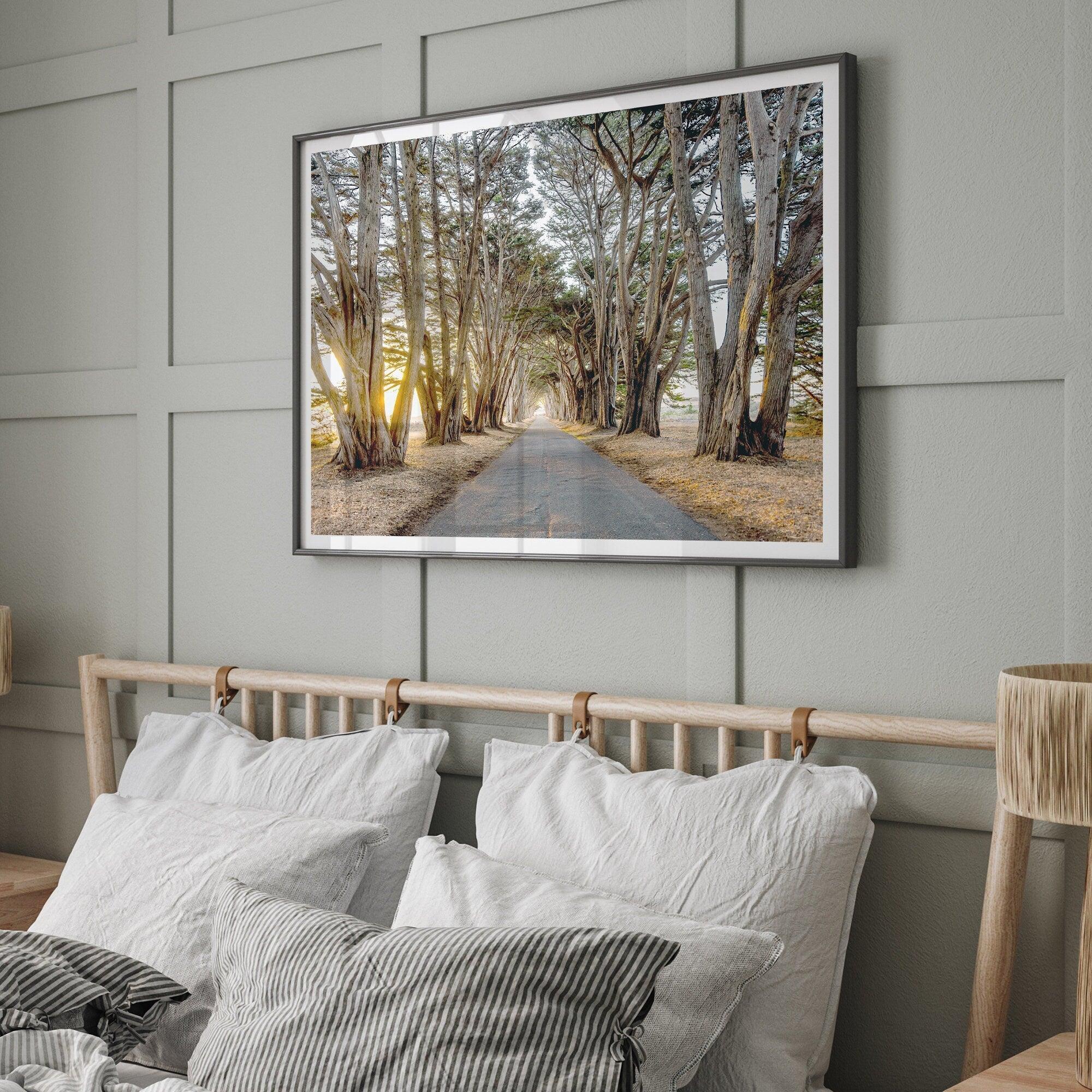 A fine art unframed or framed or unframed coastal print of a breathtaking cypress tree tunnel in Point Reyes, California, near San Francisco.