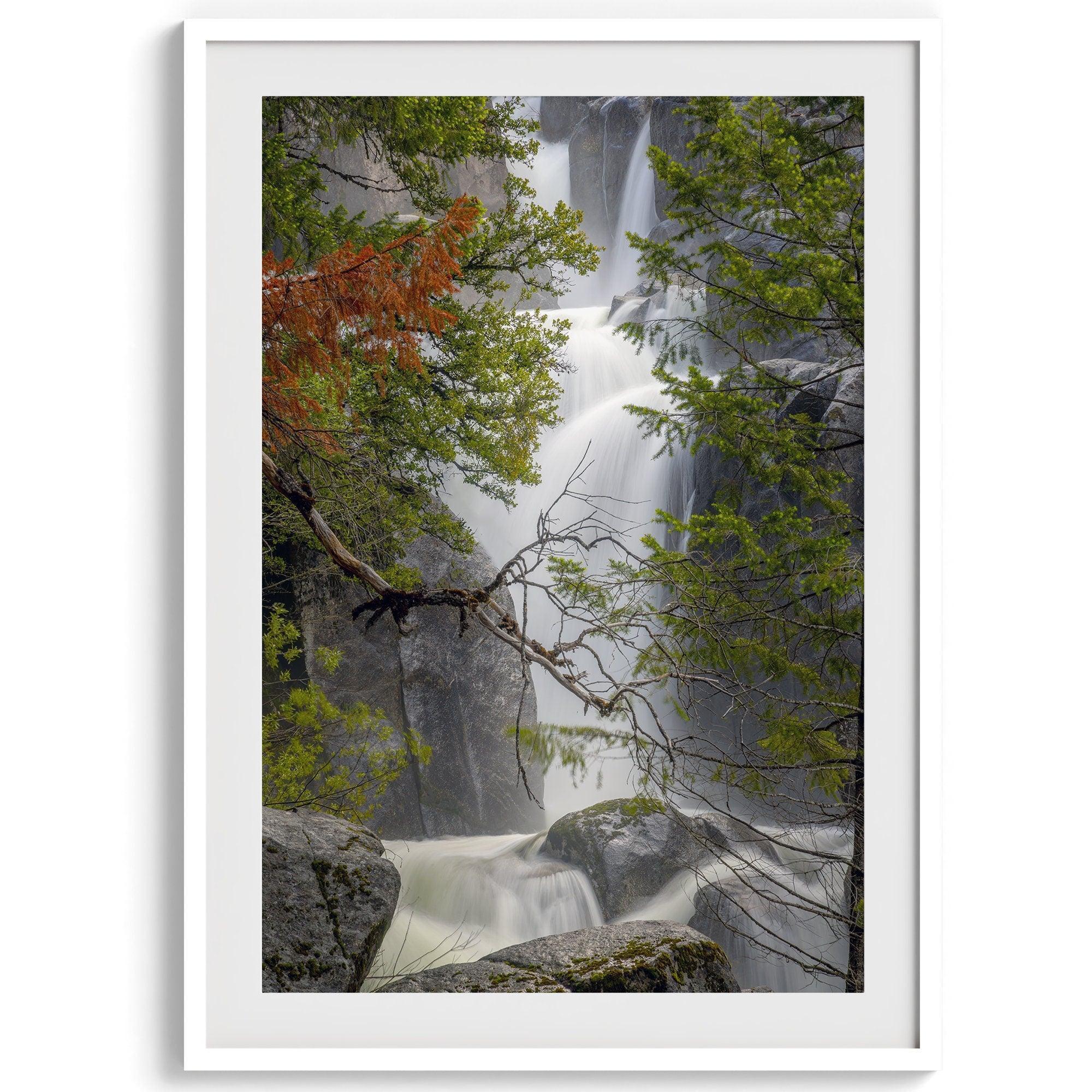 Black and white minimalist fine art print of Yosemite National Park. Sunlight filters through green leaves, revealing a hint of a cascading waterfall.