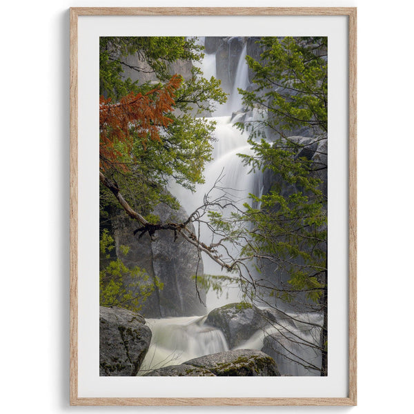Black and white minimalist fine art print of Yosemite National Park. Sunlight filters through green leaves, revealing a hint of a cascading waterfall.