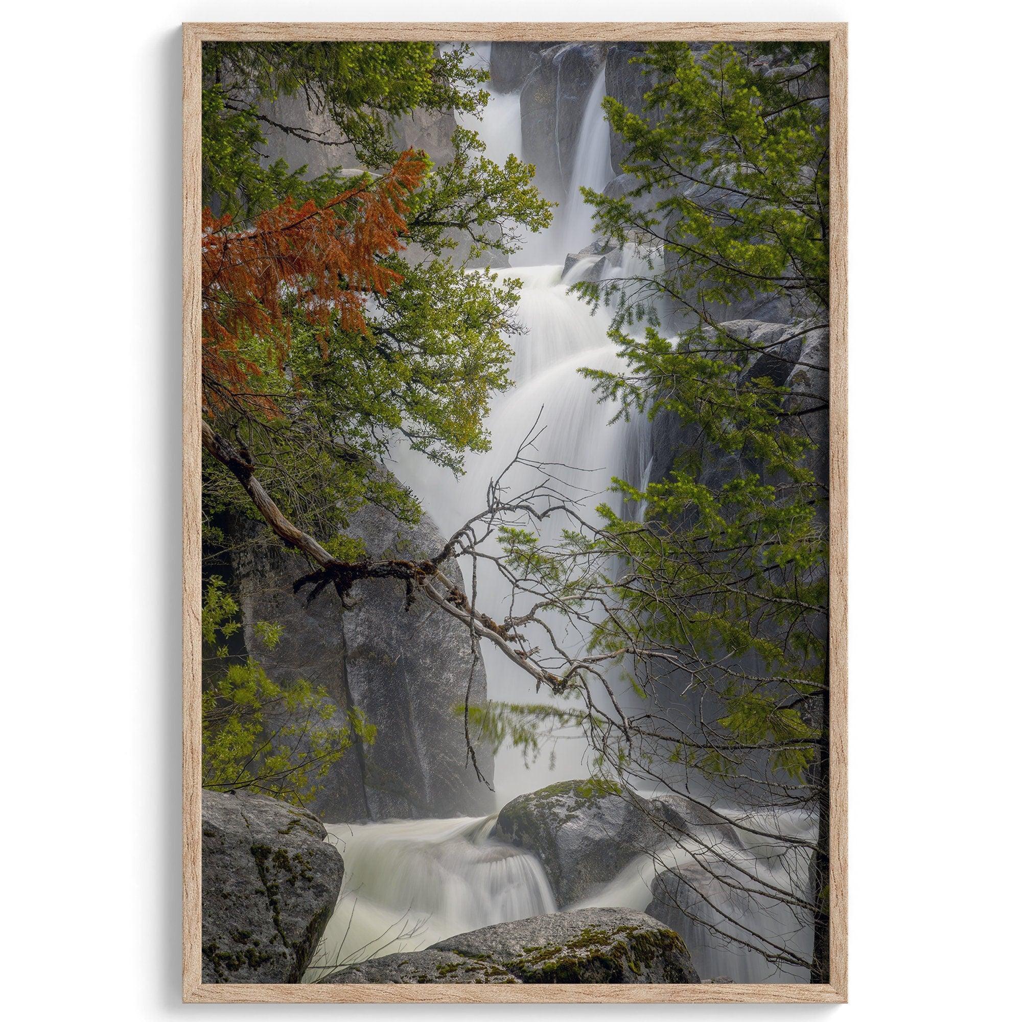 Black and white minimalist fine art print of Yosemite National Park. Sunlight filters through green leaves, revealing a hint of a cascading waterfall.