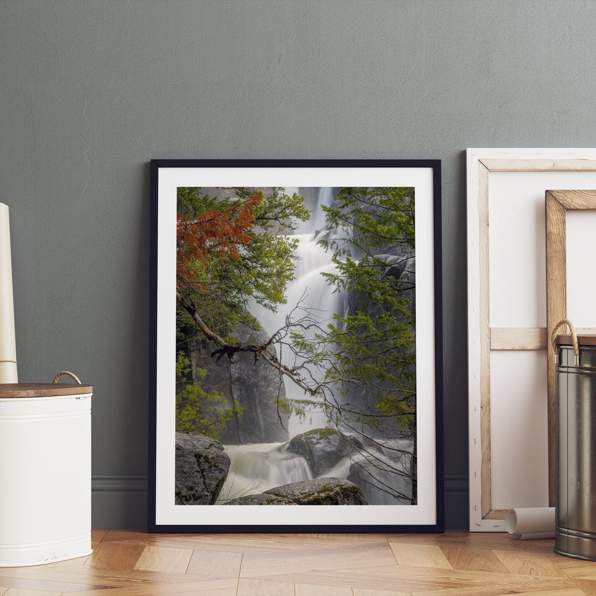 Black and white minimalist fine art print of Yosemite National Park. Sunlight filters through green leaves, revealing a hint of a cascading waterfall.