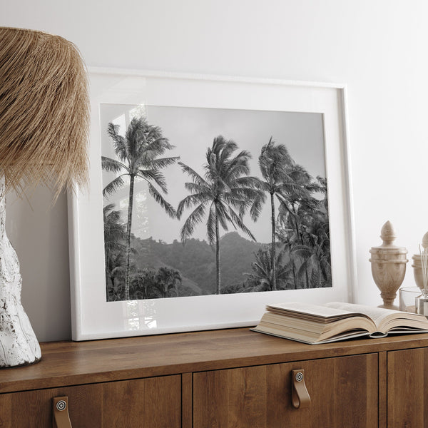 Black and white fine art photography print of towering palm trees silhouetted against tropical mountains. The scene captures the dramatic beauty of Tunnels Beach, Kauai, Hawaii.
