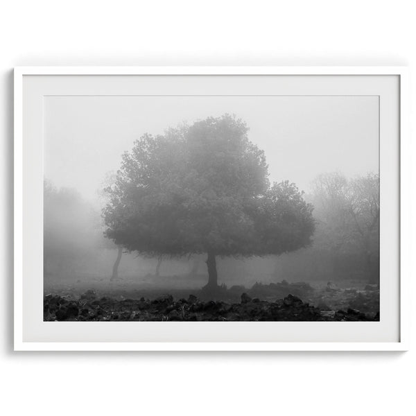 Black and white minimalist fine art photography print of a single tree shrouded in mist. This moody landscape captures the serenity and mystery of a foggy forest, creating a calming and peaceful atmosphere