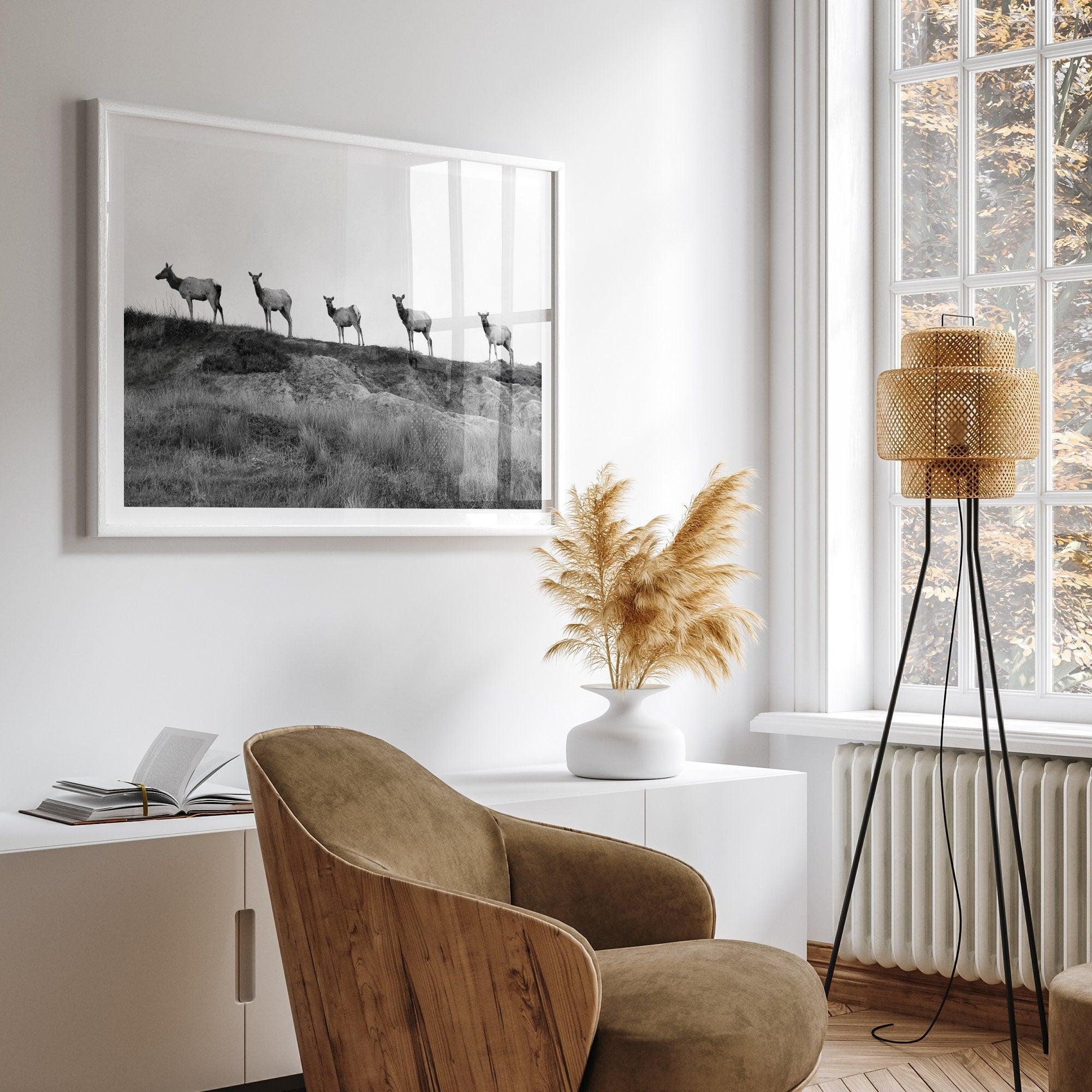 A black and white framed or unframed nature fine art photography print showing a family of coastal elks walking in a line on a ridge in Point Reyes, California. The composition forms a minimalist aesthetic print that will be a conversation starter.