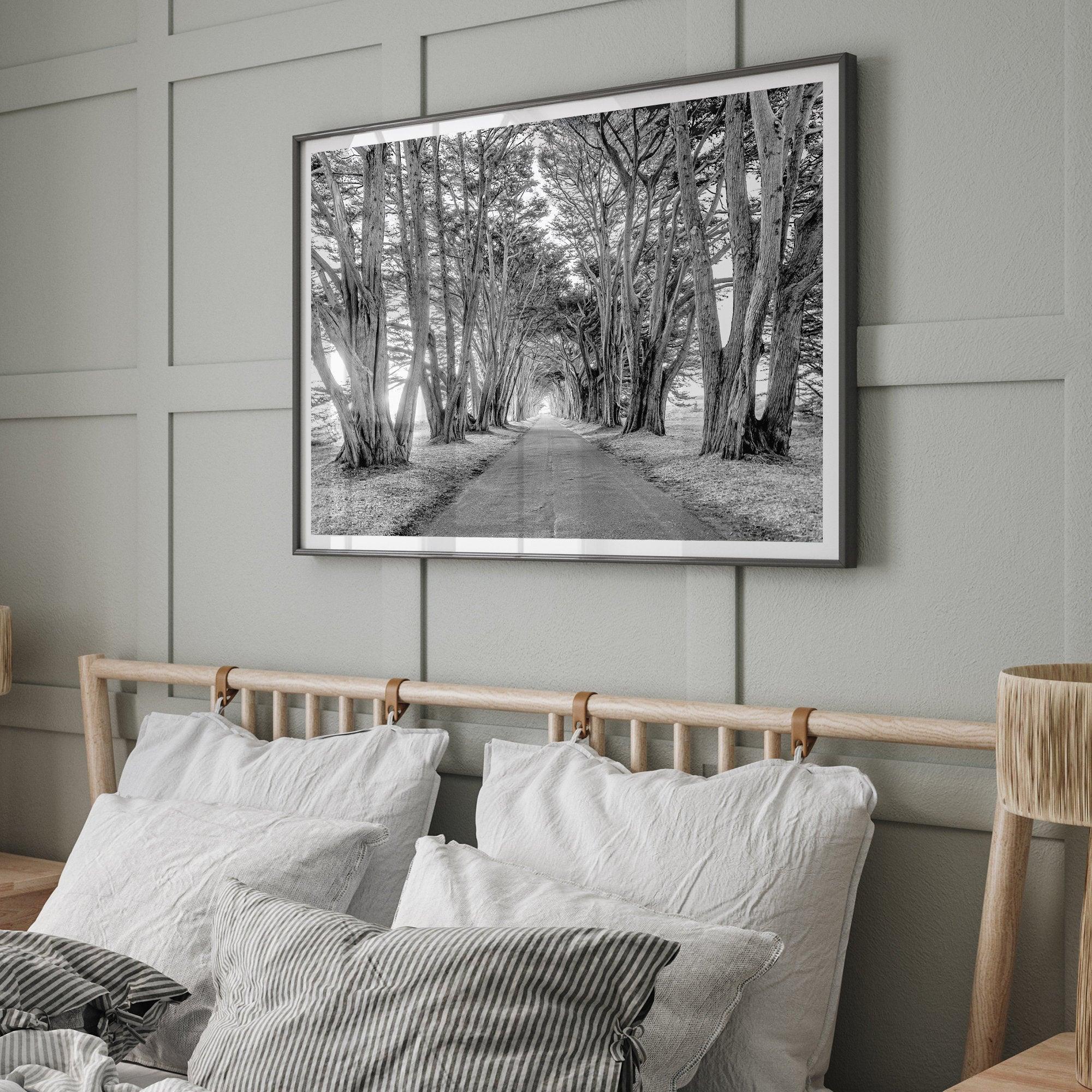 A fine art unframed or framed black and white coastal print of a breathtaking cypress tree tunnel in Point Reyes, California, near San Francisco.