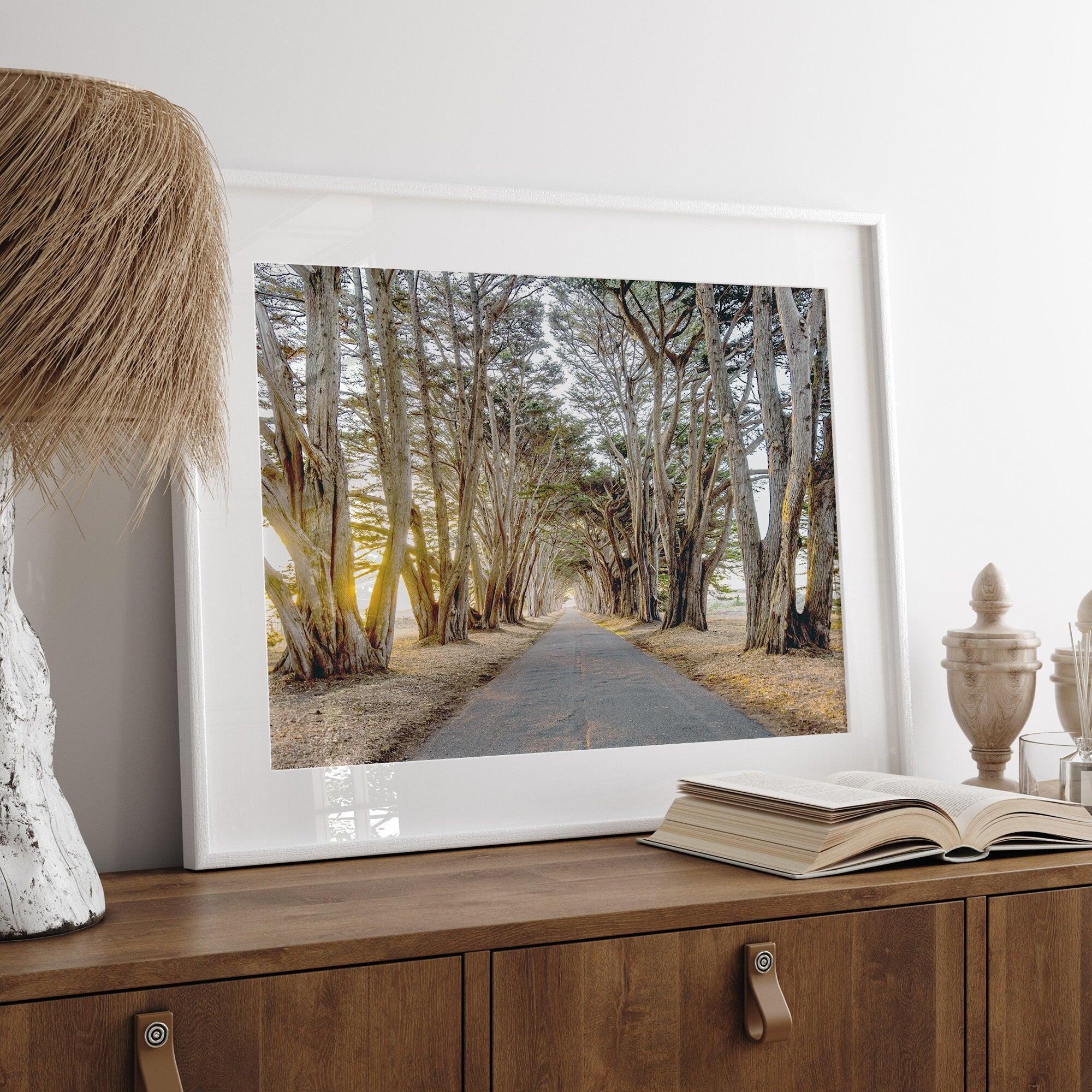 A fine art unframed or framed or unframed coastal print of a breathtaking cypress tree tunnel in Point Reyes, California, near San Francisco.