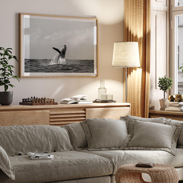 Humpback Whale Wall Art featuring a breaching whale off the coast of Kauai in black-and-white photography.