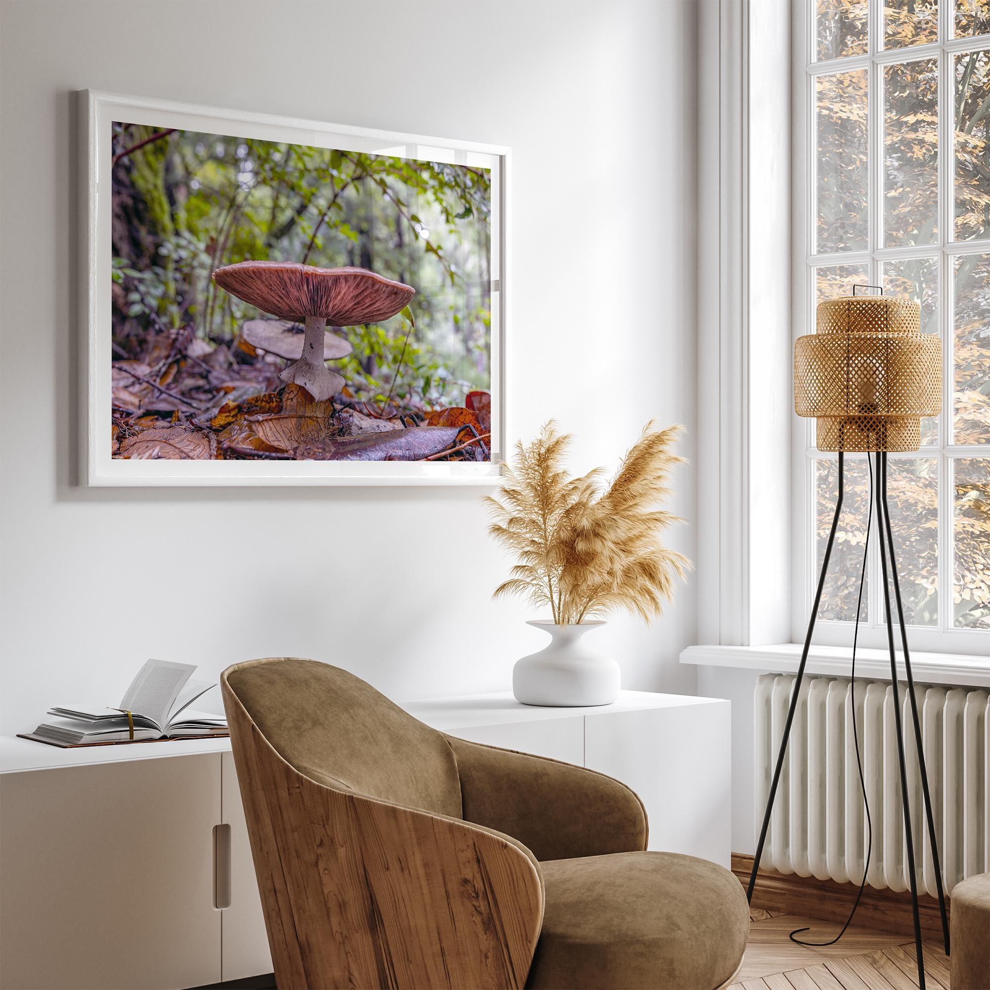 Mushroom wall art from Portola Redwoods State Park, nature photography print in the forest.