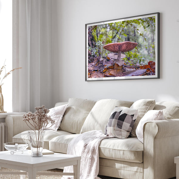 Mushroom wall art from Portola Redwoods State Park, nature photography print in the forest.