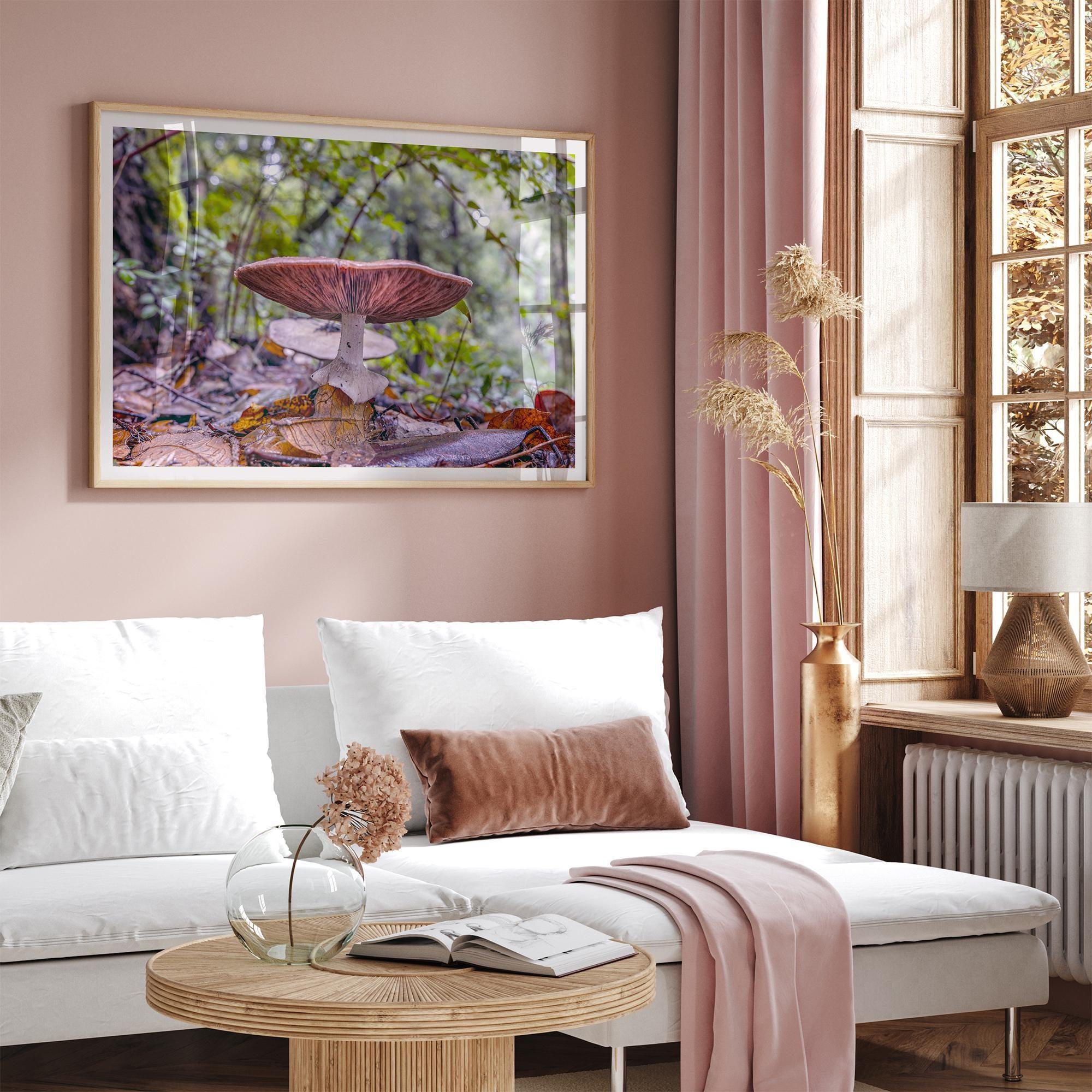 Mushroom wall art from Portola Redwoods State Park, nature photography print in the forest.