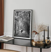 Romantic Japan nature art photograph in black and white forest setting, couples wall decor