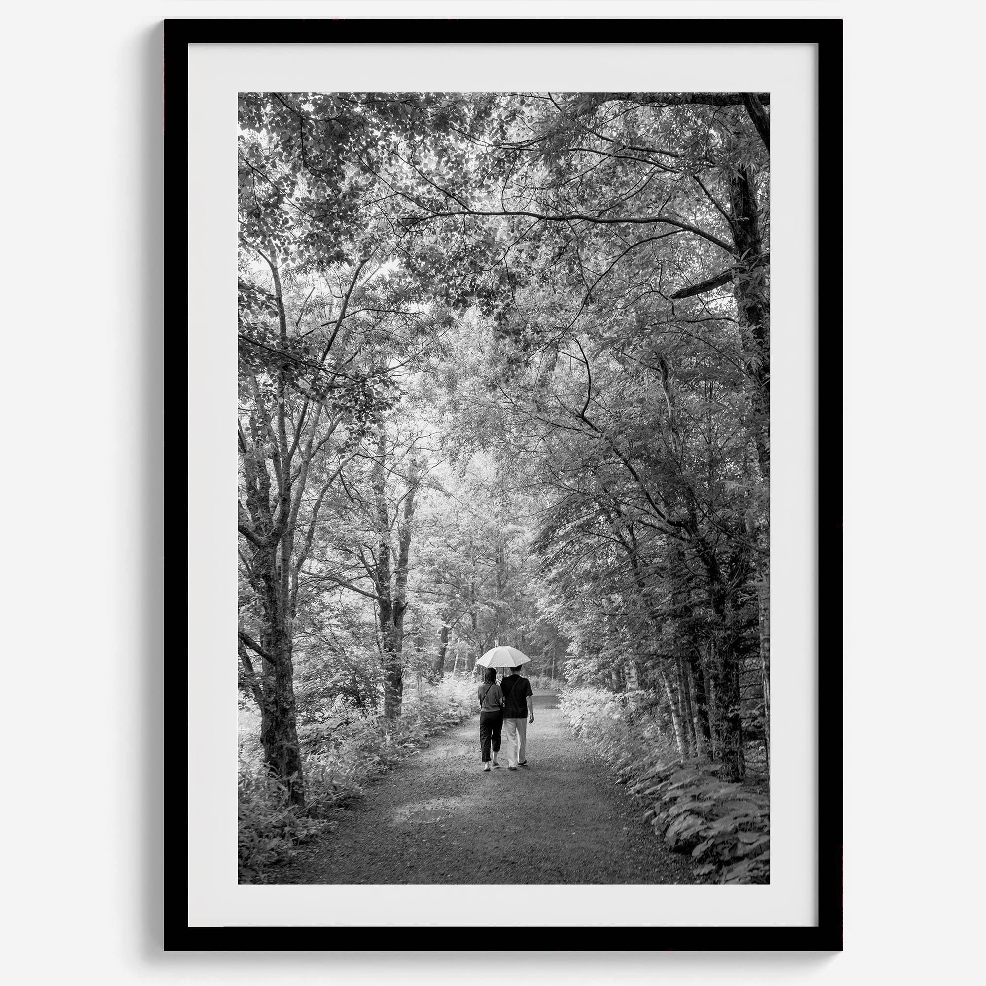 Romantic Japan nature art photograph in black and white forest setting, couples wall decor