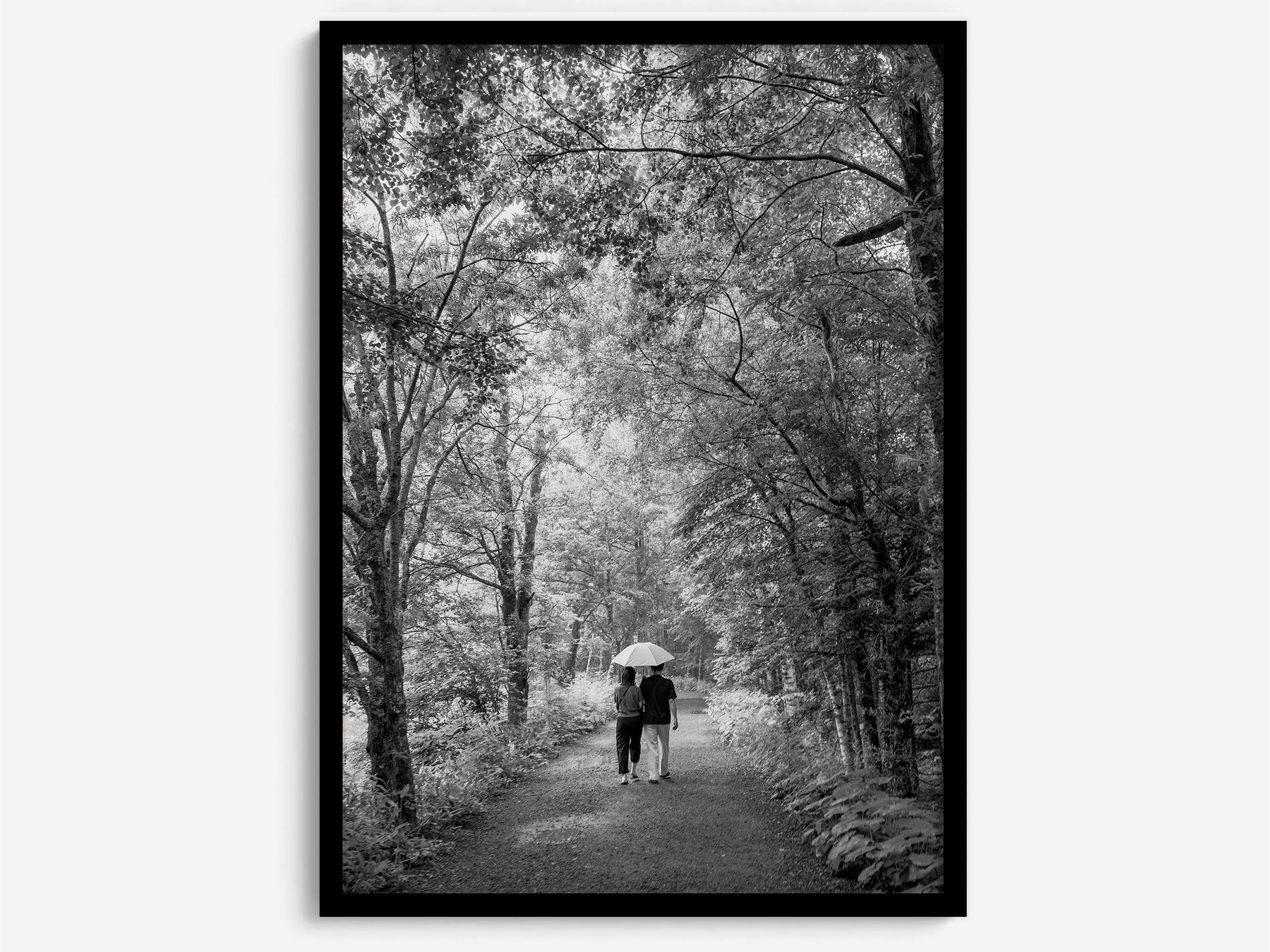 Romantic Japan nature art photograph in black and white forest setting, couples wall decor
