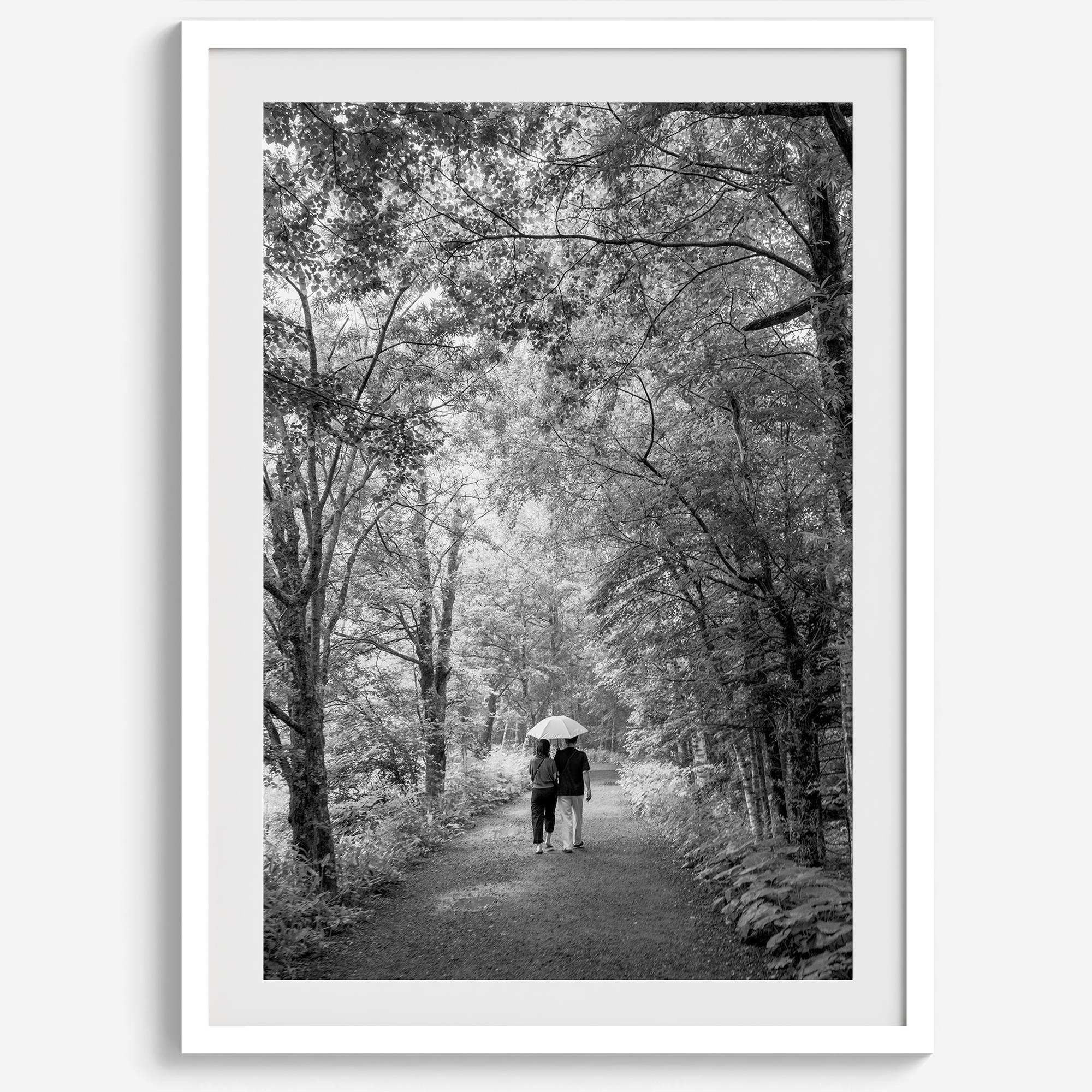 Romantic Japan nature art photograph in black and white forest setting, couples wall decor