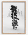 Minimalist Lake Tahoe pine tree in snow, fine art winter photography print.