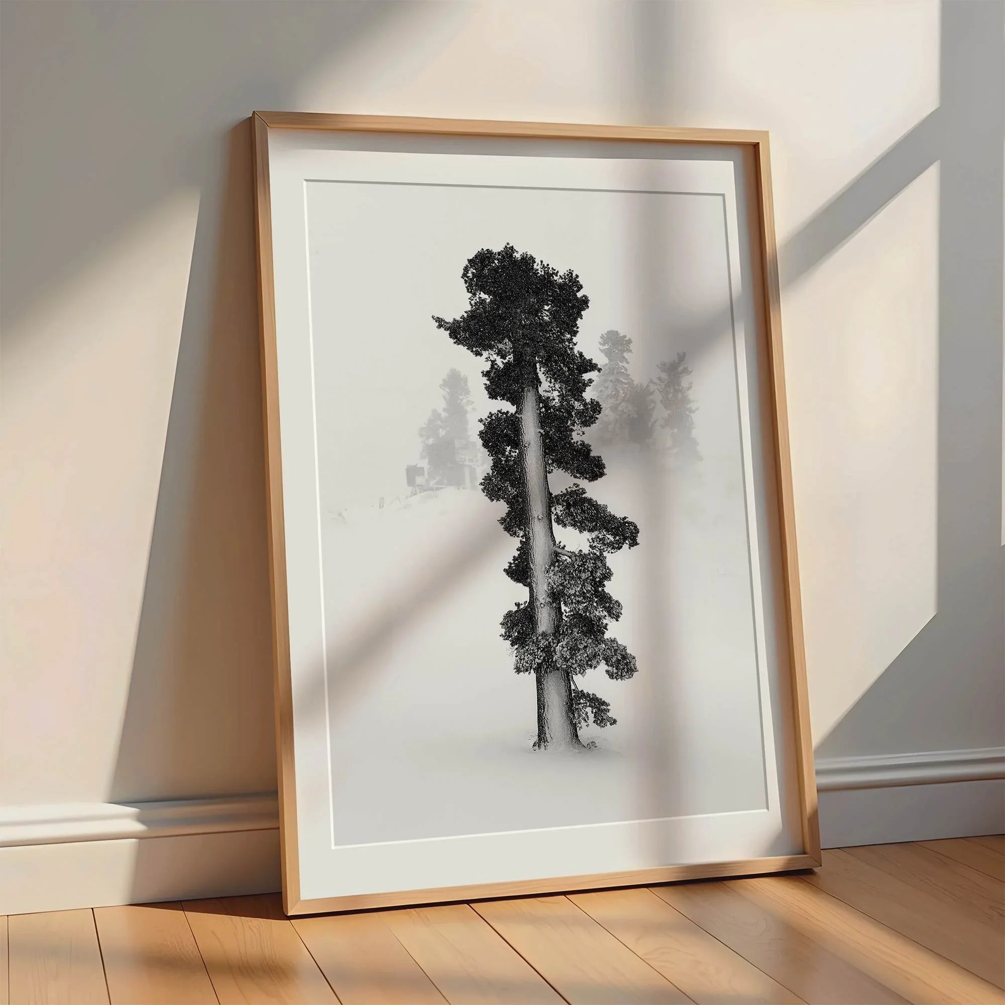 Minimalist Lake Tahoe pine tree in snow, fine art winter photography print.