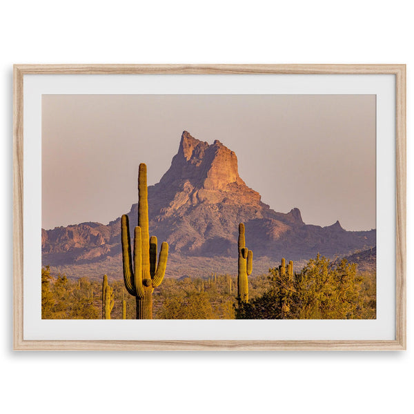 Framed photography print of an Arizona desert landscape with saguaro cacti and a sunlit mountain.