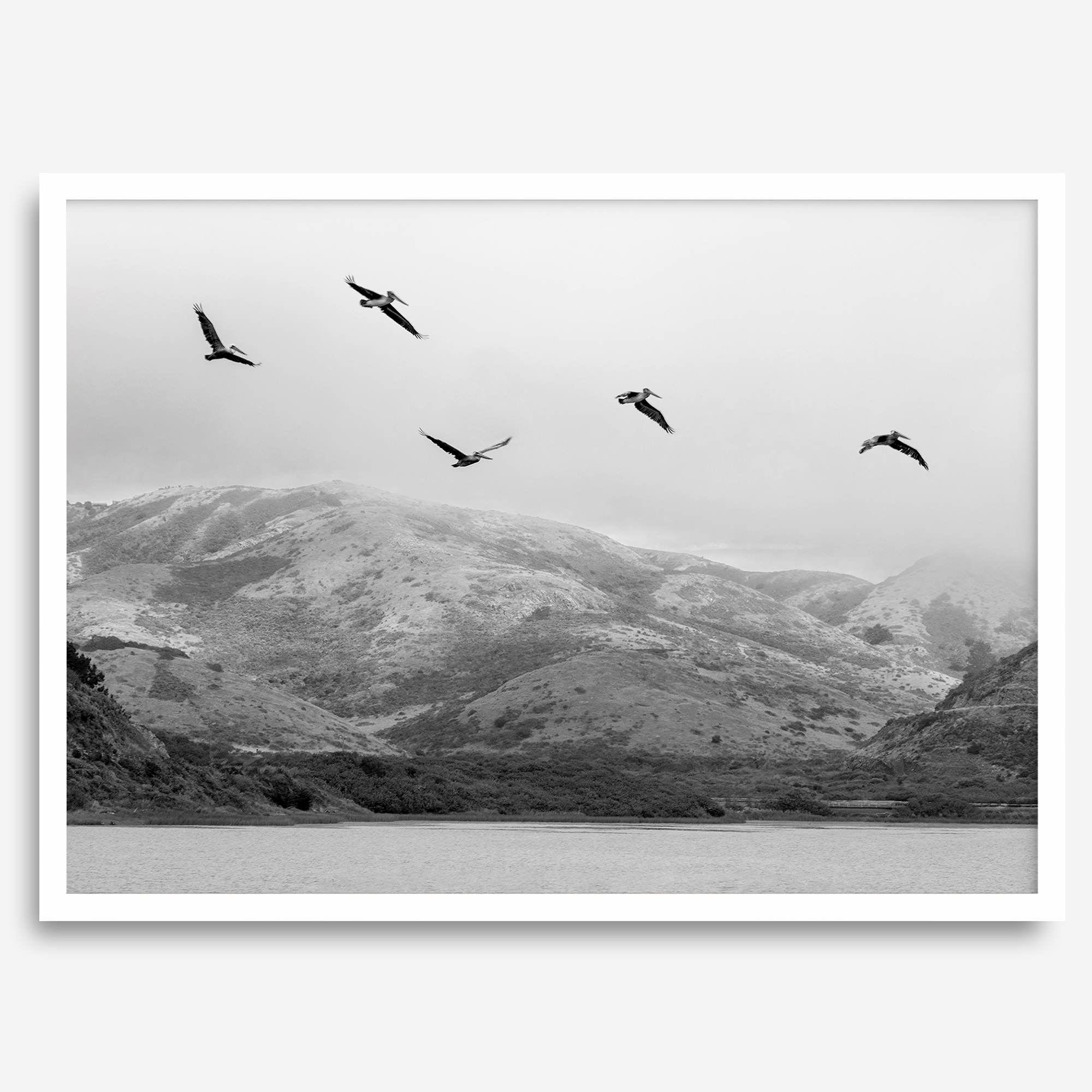 northwest coast pelicans black and white beach photography print.