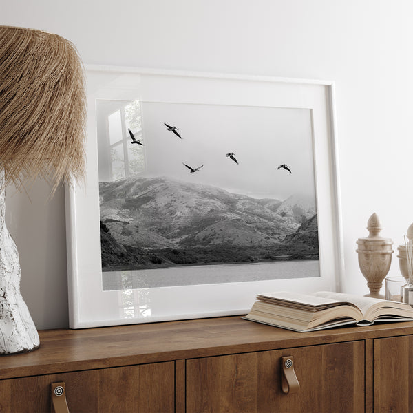 northwest coast pelicans black and white beach photography print.