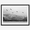 northwest coast pelicans black and white beach photography print.