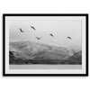 northwest coast pelicans black and white beach photography print.