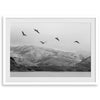 northwest coast pelicans black and white beach photography print.