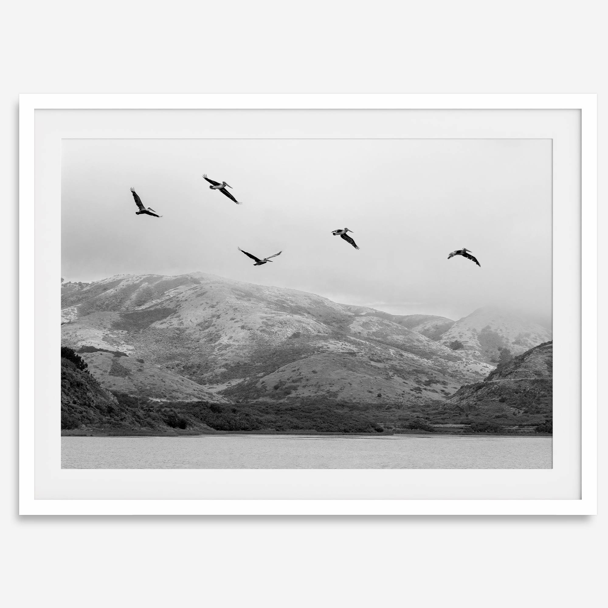 northwest coast pelicans black and white beach photography print.