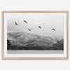 northwest coast pelicans black and white beach photography print.