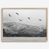 northwest coast pelicans black and white beach photography print.
