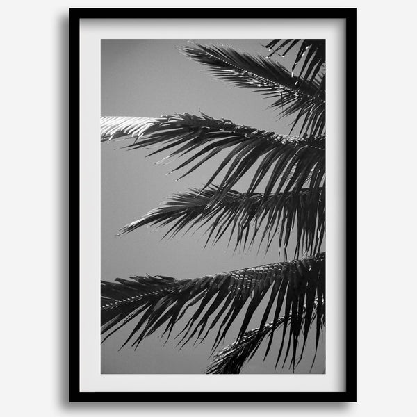 Black and white palm leaf wall art from Big Island Hawaii for modern coastal beach house wall art decor.