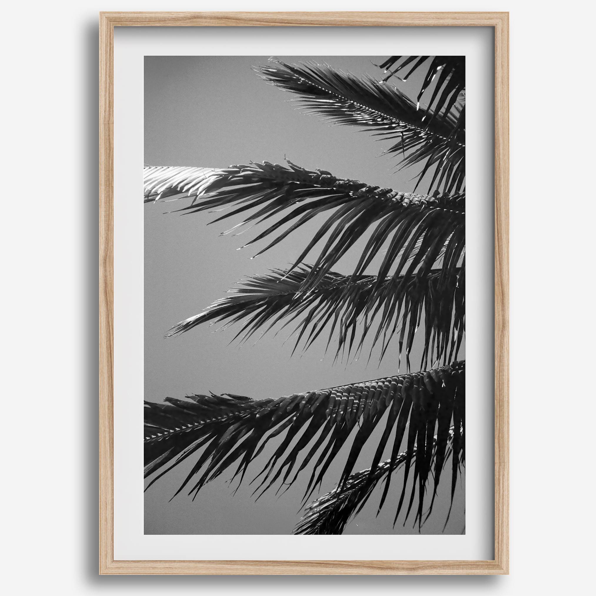 Black and white palm leaf wall art from Big Island Hawaii for modern coastal beach house wall art decor.