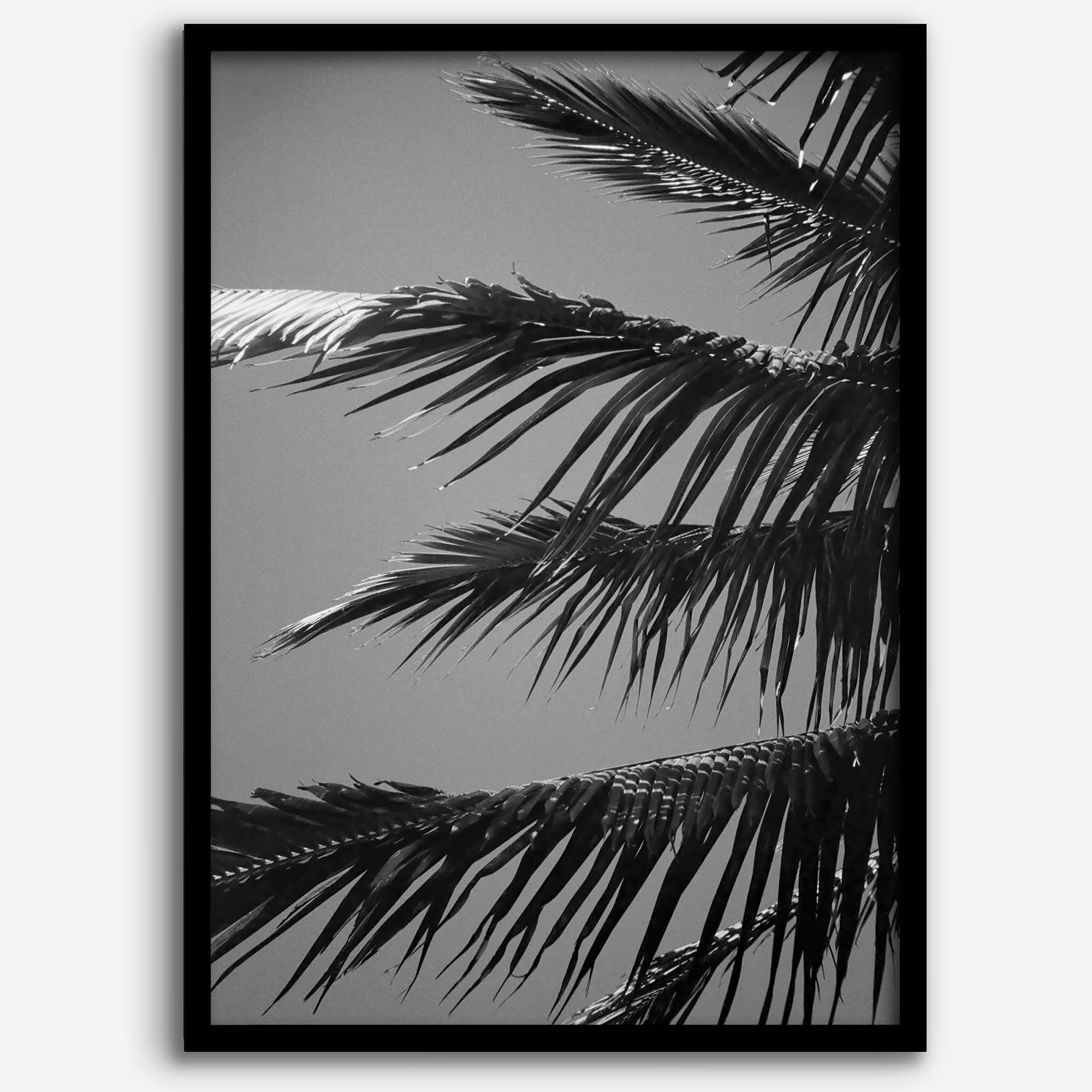 Black and white palm leaf wall art from Big Island Hawaii for modern coastal beach house wall art decor.