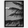 Black and white palm leaf wall art from Big Island Hawaii for modern coastal beach house wall art decor.