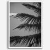 Black and white palm leaf wall art from Big Island Hawaii for modern coastal beach house wall art decor.