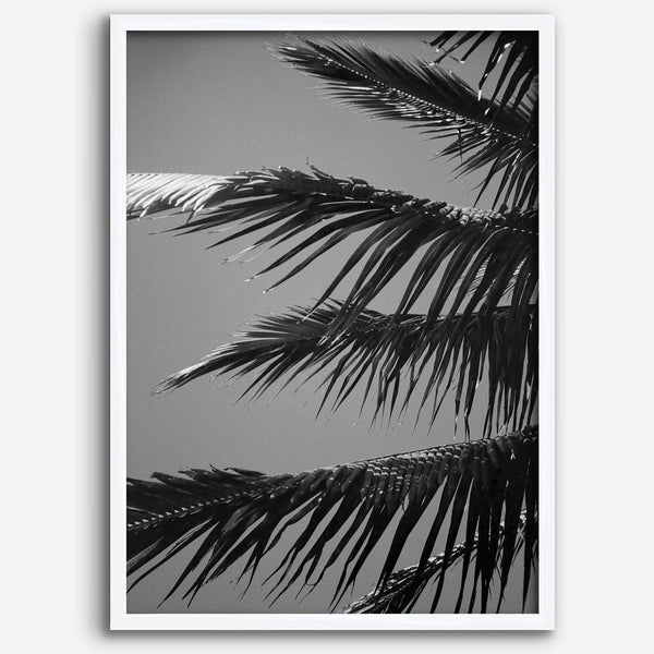 Black and white palm leaf wall art from Big Island Hawaii for modern coastal beach house wall art decor.