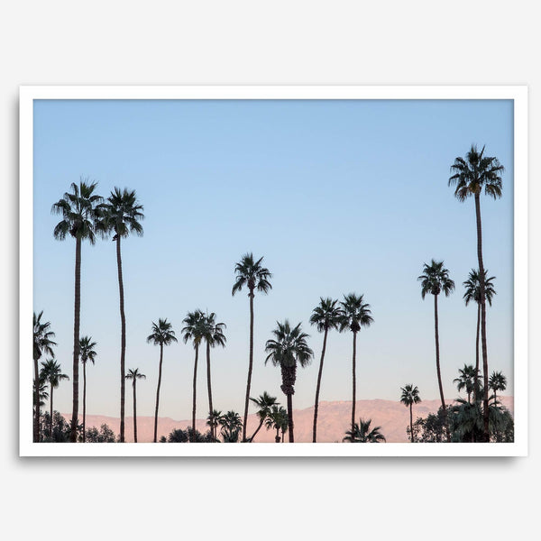 Silhouetted palm trees in Palm Springs under a clear blue sky with pink desert mountains in background