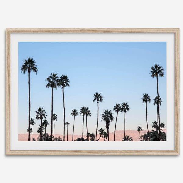 Silhouetted palm trees in Palm Springs under a clear blue sky with pink desert mountains in background