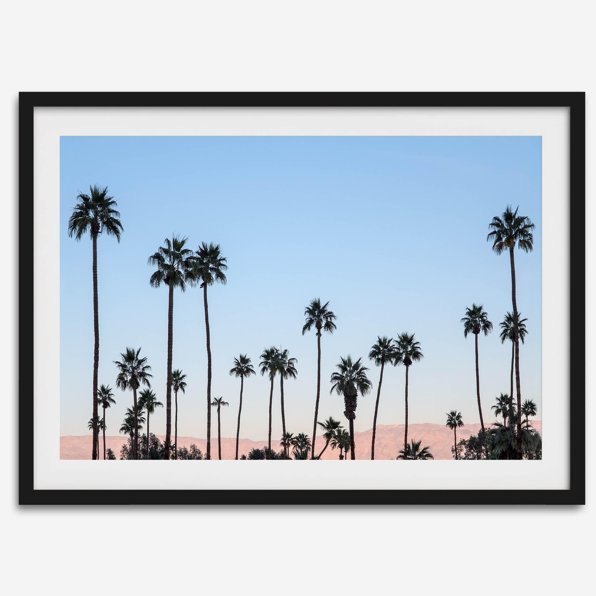Silhouetted palm trees in Palm Springs under a clear blue sky with pink desert mountains in background