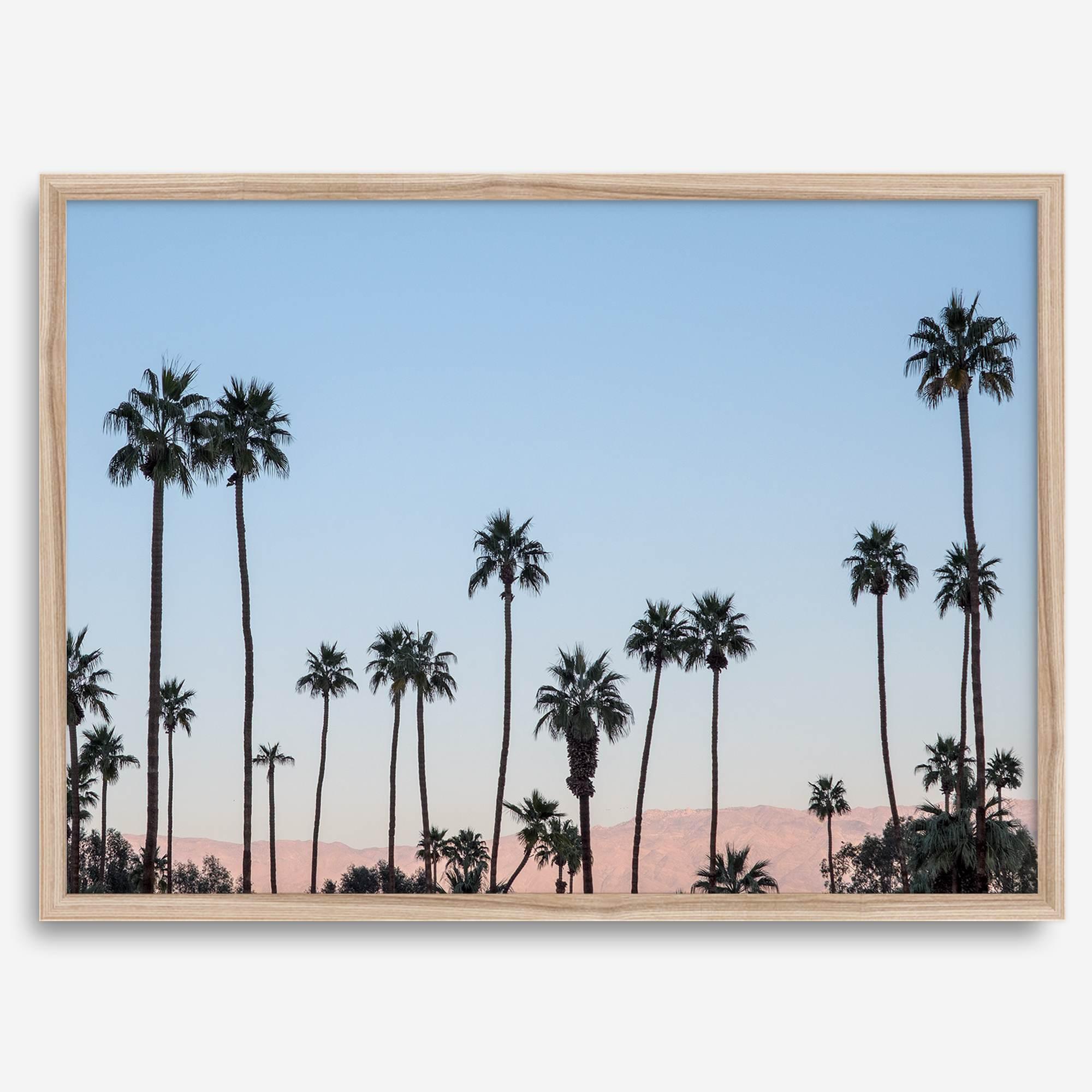 Silhouetted palm trees in Palm Springs under a clear blue sky with pink desert mountains in background