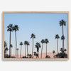 Silhouetted palm trees in Palm Springs under a clear blue sky with pink desert mountains in background