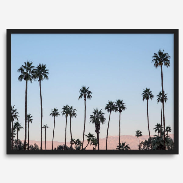 Silhouetted palm trees in Palm Springs under a clear blue sky with pink desert mountains in background