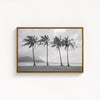 Black and white canvas print of four tall palm trees on Hanalei Bay beach in Kauai, with mountains and cloudy sky in the background.