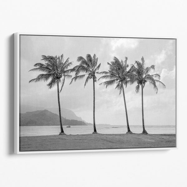 Black and white canvas print of four tall palm trees on Hanalei Bay beach in Kauai, with mountains and cloudy sky in the background.