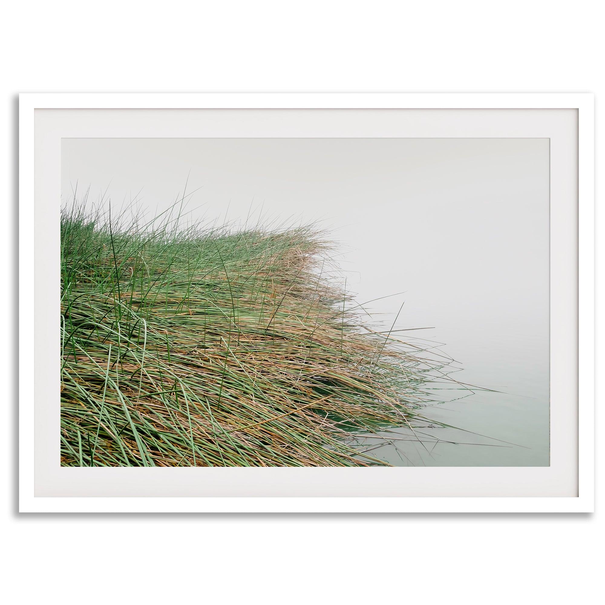 Minimalist nature artwork of coastal grasses leaning towards calm water on a misty day